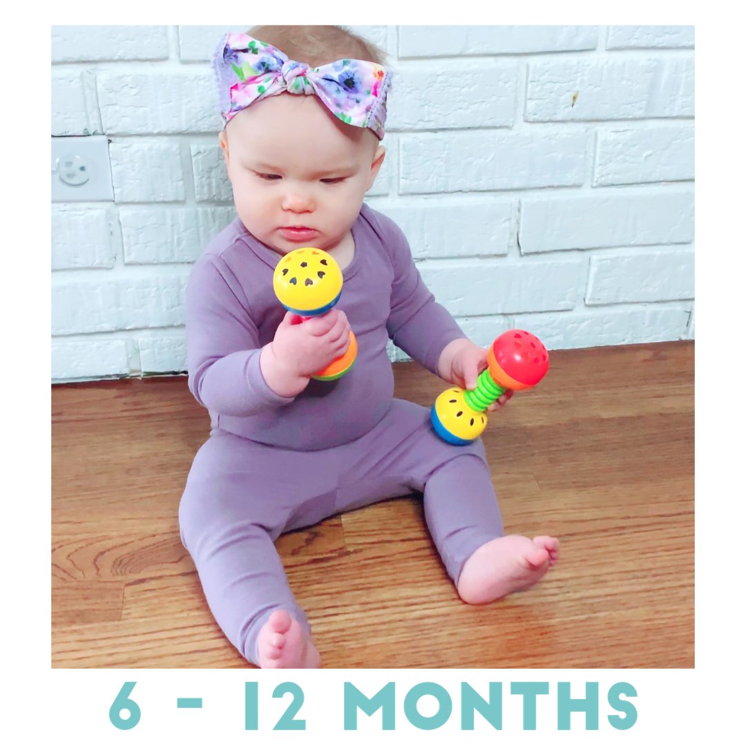 12 month developmental fashion toys