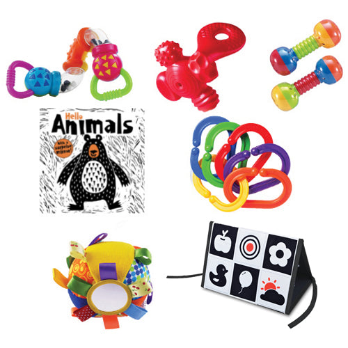 Discovery Toys Educational Products