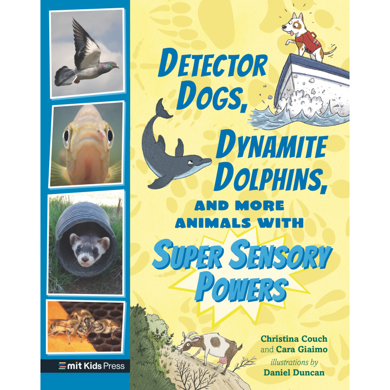 DETECTOR DOGS, DYNAMITE DOLPHINS, AND MORE ANIMALS WITH SUPER SENSORY POWERS